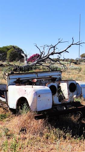Old Landrover, Wilson's Patch, WA.